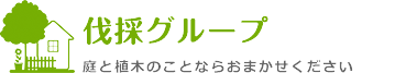 伐採グループ