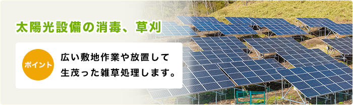 庭木消毒・防虫対策